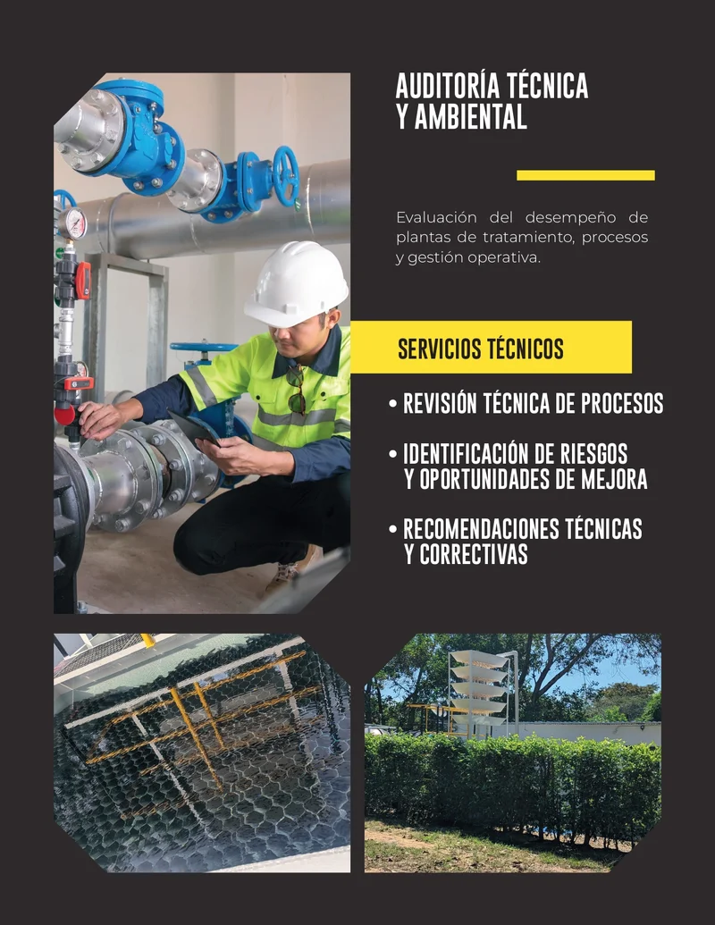 Evaluación y Optimización de Plantas